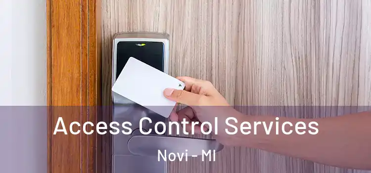Access Control Services Novi - MI