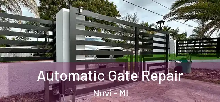 Automatic Gate Repair Novi - MI