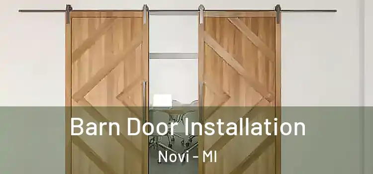  Barn Door Installation Novi - MI
