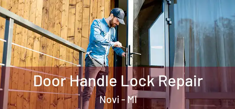Door Handle Lock Repair Novi - MI