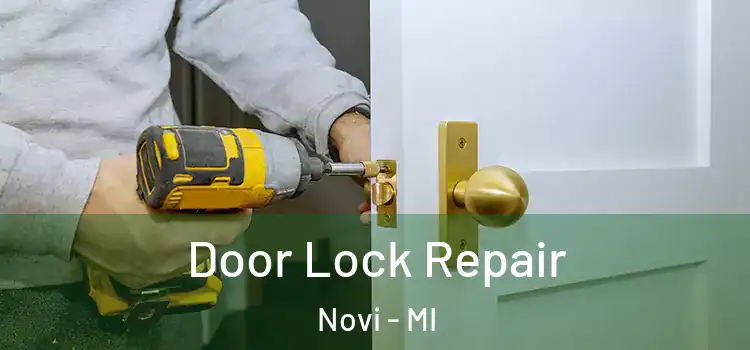 Door Lock Repair Novi - MI