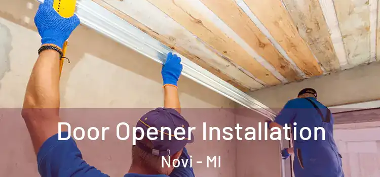 Door Opener Installation Novi - MI