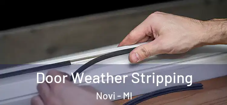 Door Weather Stripping Novi - MI