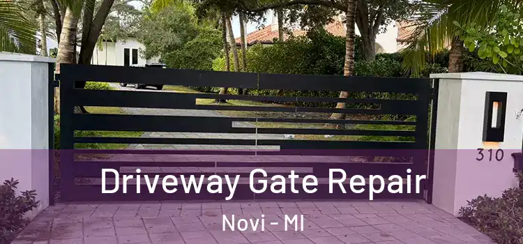Driveway Gate Repair Novi - MI
