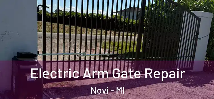 Electric Arm Gate Repair Novi - MI