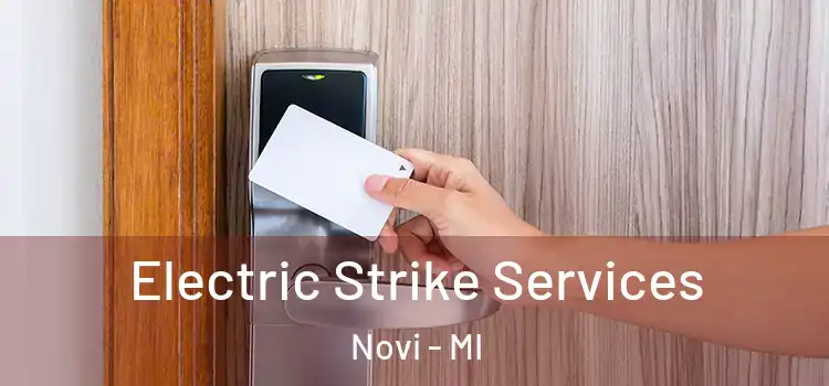  Electric Strike Services Novi - MI