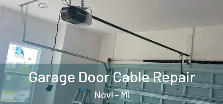  Garage Door Cable Repair Novi - MI
