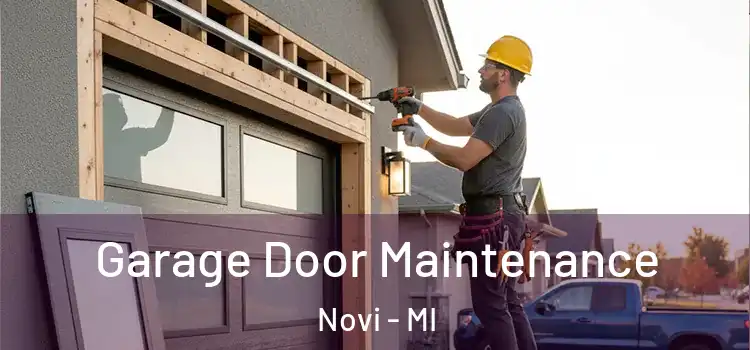 Garage Door Maintenance Novi - MI