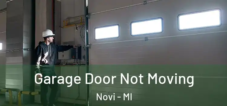  Garage Door Not Moving Novi - MI