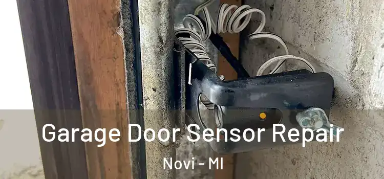 Garage Door Sensor Repair Novi - MI
