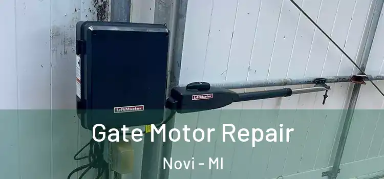 Gate Motor Repair Novi - MI