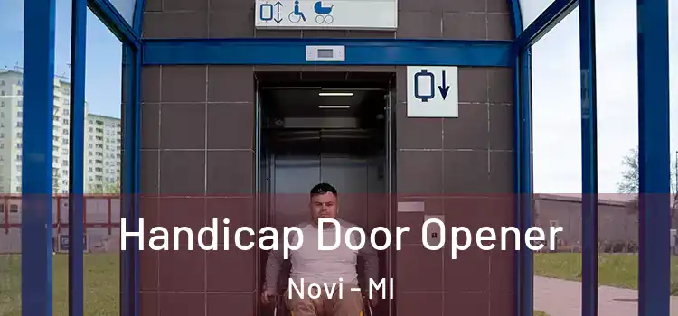 Handicap Door Opener Novi - MI