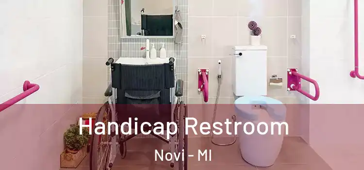 Handicap Restroom Novi - MI