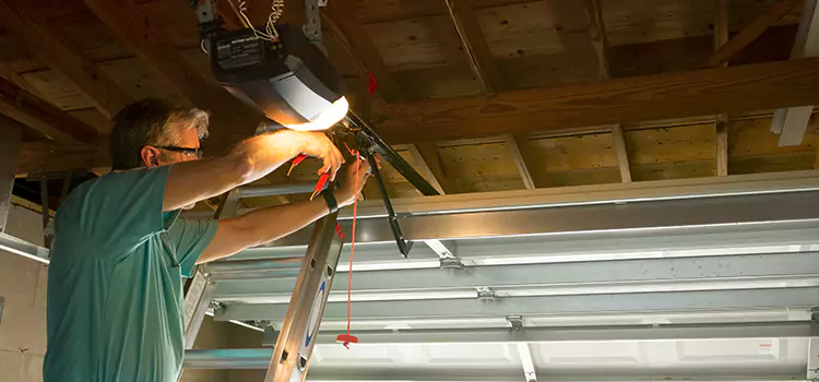 Garage Door Opener Sales and Installation Novi