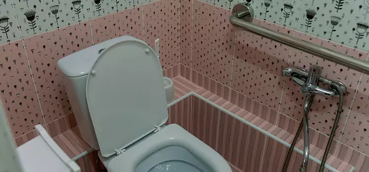 Meeting Diverse Needs With Accessible Restroom Solutions in Novi, MI
