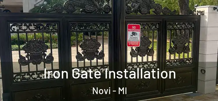 Iron Gate Installation Novi - MI