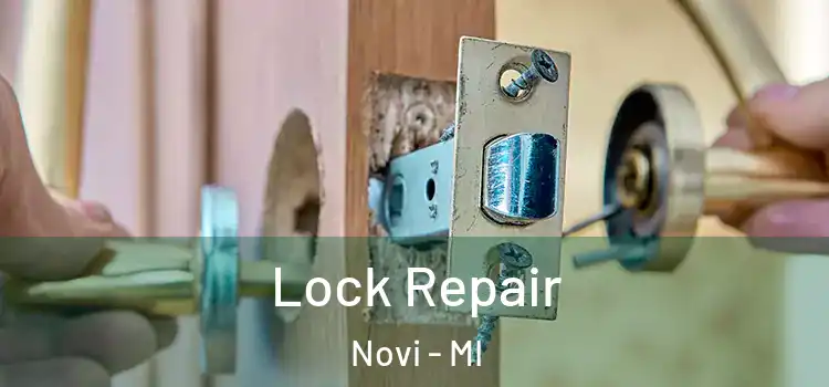Lock Repair Novi - MI