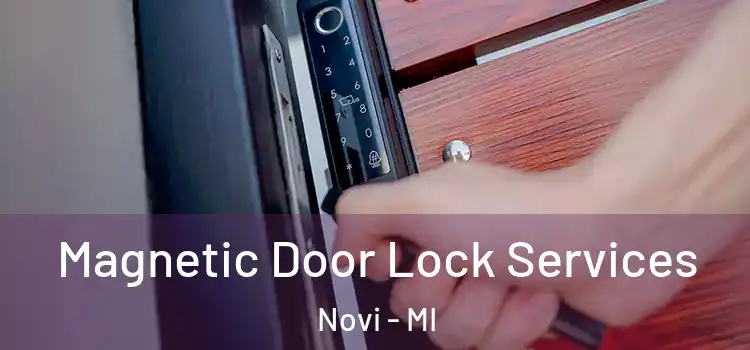 Magnetic Door Lock Services Novi - MI