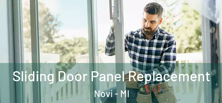 Sliding Door Panel Replacement Novi - MI