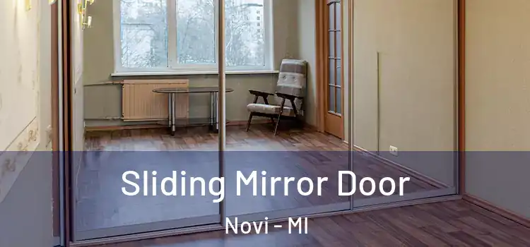  Sliding Mirror Door Novi - MI