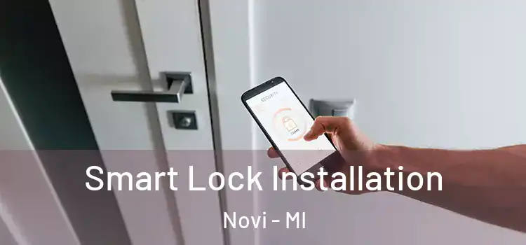  Smart Lock Installation Novi - MI