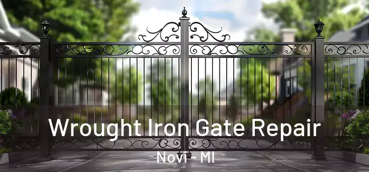  Wrought Iron Gate Repair Novi - MI